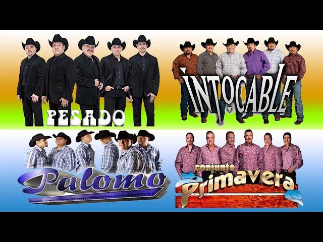 CONJUNTO PRIMAVERA, INTOCABLE, PALOMO Y PESADO DESDE LA CANTINA - PUROS CORRDOS PESSADOS MIX