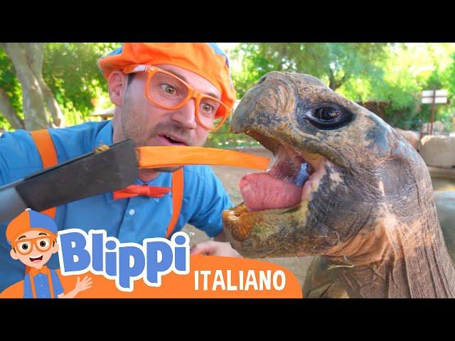 Blippi visita lo zoo di Phoenix | Blippi in Italiano | Video educativi per bambini