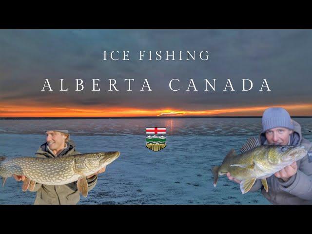 Alberta Canada Ice Fishing - PIKE & WALLEYE