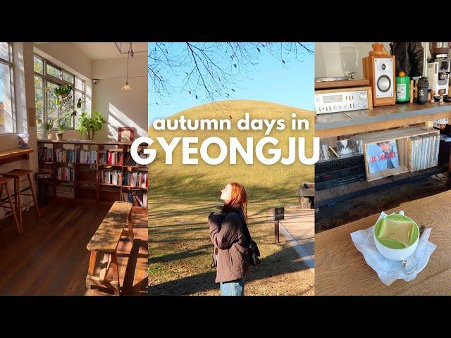 autumn in gyeongju  bookstores, new cafes, solo travel outside seoul, korea vlog