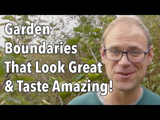 Garden Boundaries That Look Great & Taste Amazing!