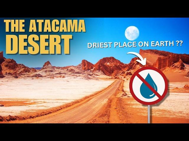 8 Things I wish I Knew Before Visiting The Atacama Desert