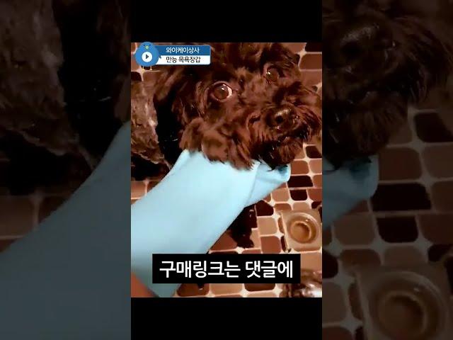 강아지 목욕장갑 세차장갑