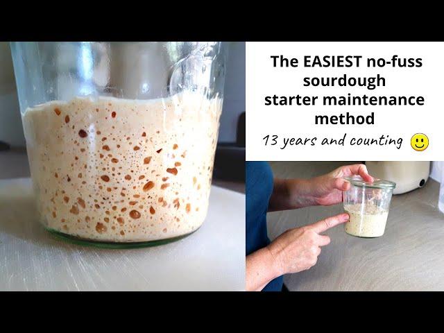 The EASIEST sourdough starter maintenance method