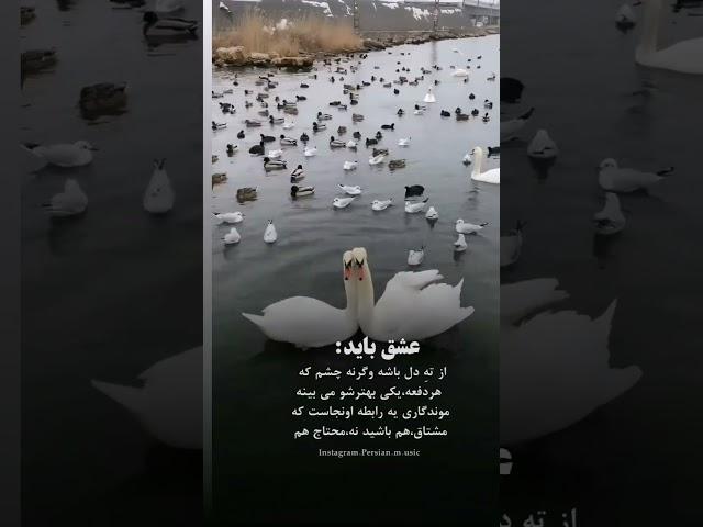 ۷ مارس ۲۰۲۳