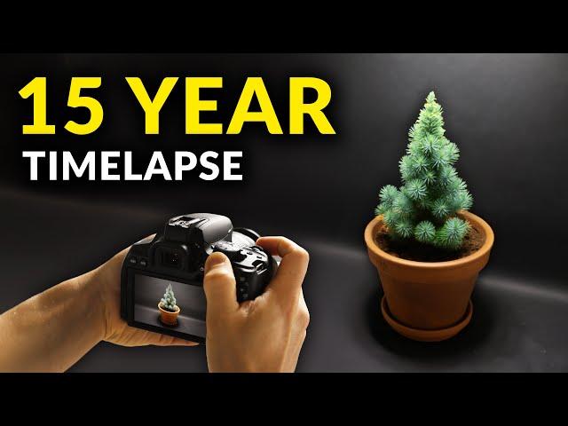 I Filmed Plants For 15 years | Time-lapse Compilation