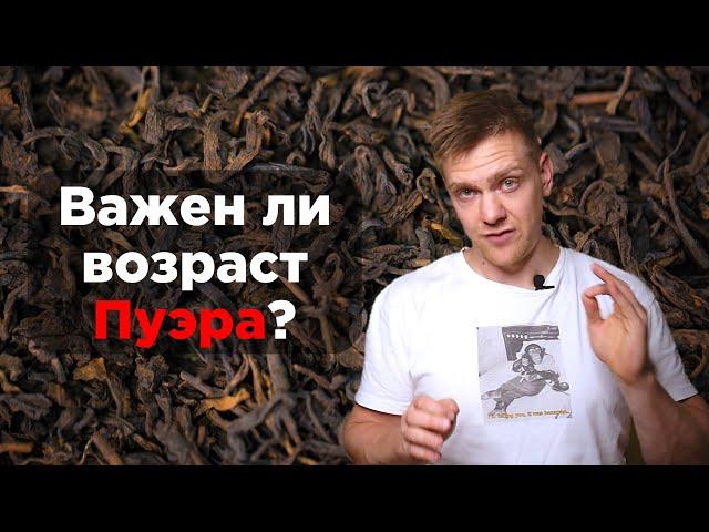 Важен ли возраст Пуэра? Как выбрать Пуэр, что влияет на вкус и аромат