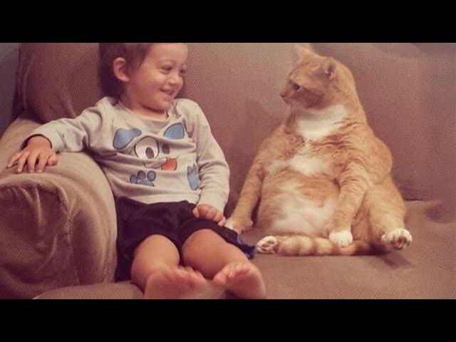 When your child and cat share a home, their love is unconditional 