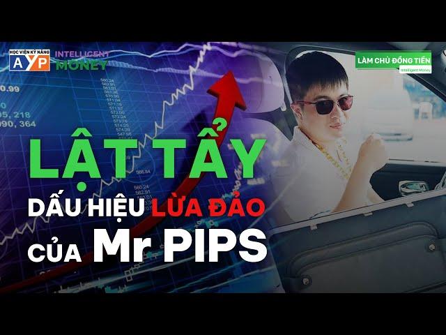 Để không bị lừa kiểu Mr Pips, phải nhớ 4 dấu hiệu (Tưởng an toàn hóa ra lừa đảo) | Intelligent Money