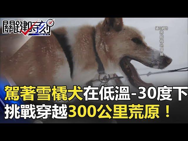 極地冒險！駕著雪橇犬在低溫-30度下 挑戰穿越300公里荒原！ 關鍵時刻 20180420-6 馬西屏