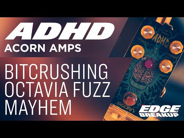 Acorn Amps ADHD // Guitar Pedal Demo