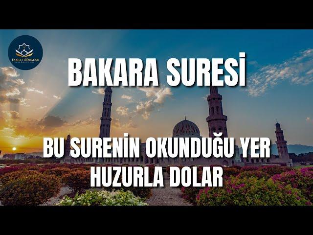 BAKARA SURESİ | OKUNDUĞU YER HUZUR DOLAR | Kuran Dinle