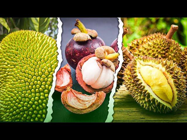 12 Most Unique Fruits You Have Never Heard Off! #ExoticFruits #UnusualFruits