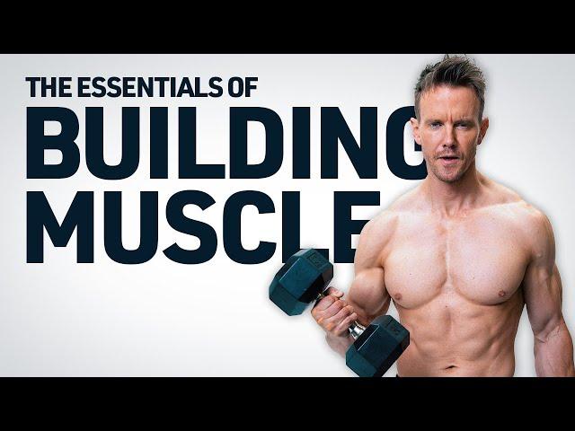 The Essentials to Building Muscle