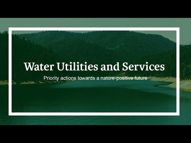 How the Water Utilities and Services sector can contribute towards a nature-positive future