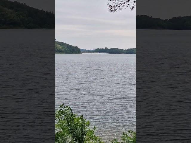 #nature #자연 #군산여행#구불길#청암산#생태놀이터#옥산저수지#주말산행추천#수변생태탕방길