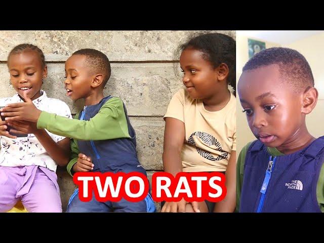 TWO RATS PART 1 | JUNIOR COMEDIAN X AMASHA NKATHA FT MARY MWANGI