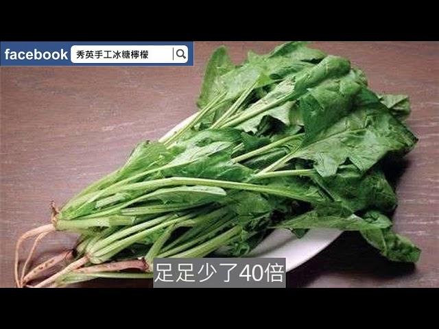 這6大蔬菜減肥超給力 吃了比飯還飽