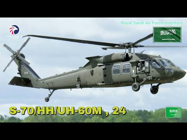 Royal Saudi Air Force2024