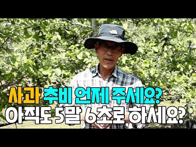 사과재배 추비주는 시기는 언제가?? 계산하는 방법은요.