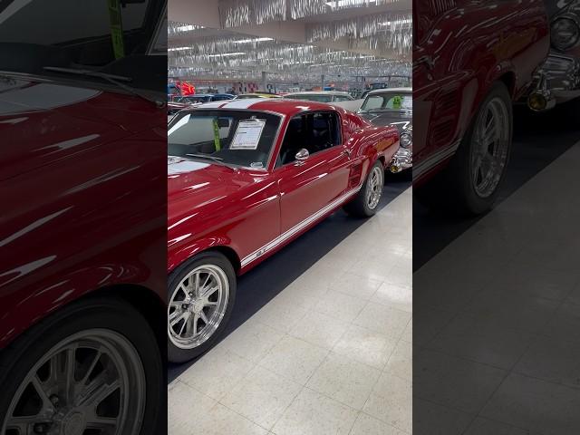 1967 Ford Mustang GT at Volo Museum Auto Sales