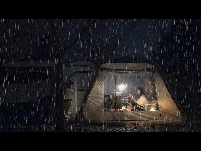 Where did winter go? / Camping Alone By The Rainy Lake. Cozy night with camping food