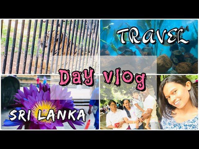 Day vlog️|All things are in one place Colombo️ #vlogs #trending #travel