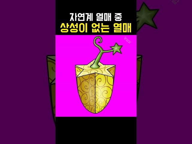 원피스 상성이 없는 사기적인 열매