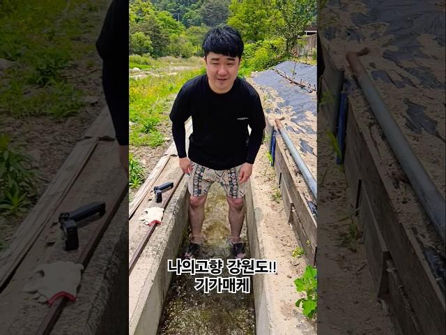 강원도로 천렵왔습니다 #청정지역 #강원도 #개울 #도랑