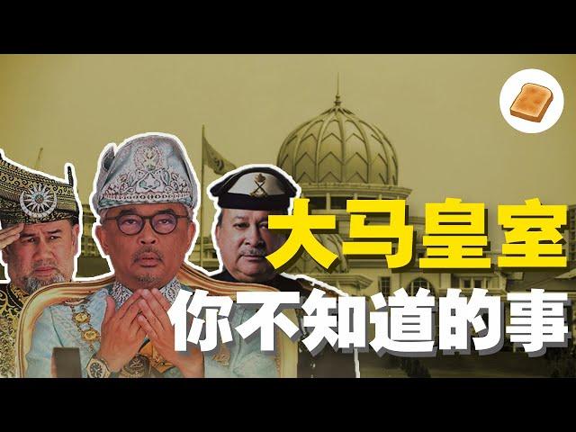 【大包子】坐拥亿万身家，大马皇室每年薪水有多少？