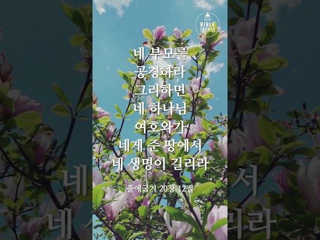 #성경암송 #바이블샤워 #출애굽기 #묵상 #십계명 #부모공경 #건강한교회 #shorts