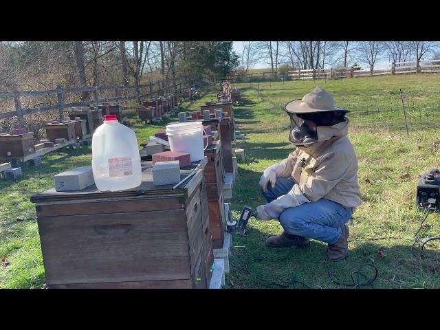 Thanksgiving and Beekeeping -- Clean up those Mites!
