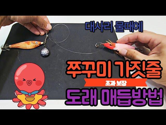 쭈꾸미 낚시 채비 도래매듭법 쭈꾸미 대사리 물때에 가짓줄 운영방법 및 쭈꾸미 도래 매듭법