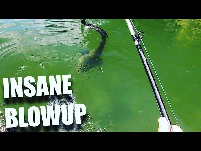 INSANE BLOWUP on the WHOPPER PLOPPER