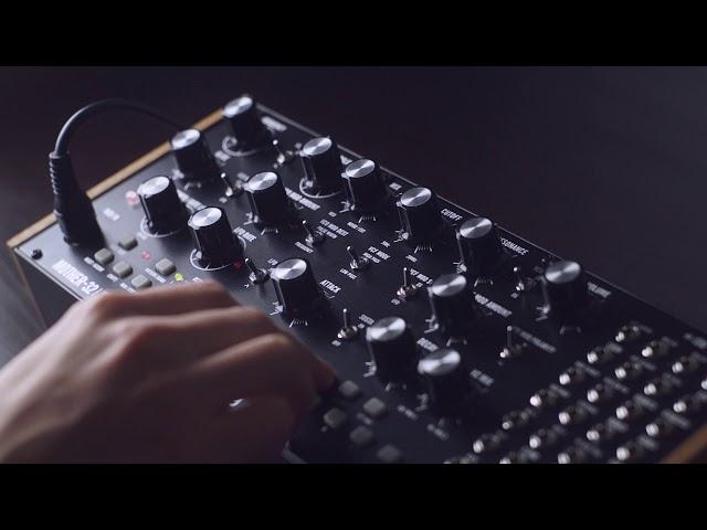 Moog Mother 32 - Plucking Synth Song