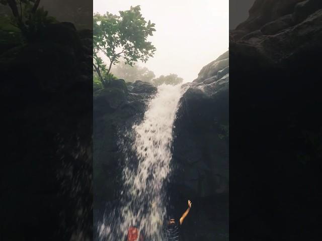 Malshej Ghat scenery| malshej Ghat waterfall|| malshej Ghat #malshejghat #waterfall#shorts #monsoon