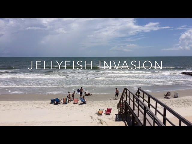 Jellyfish Invasion