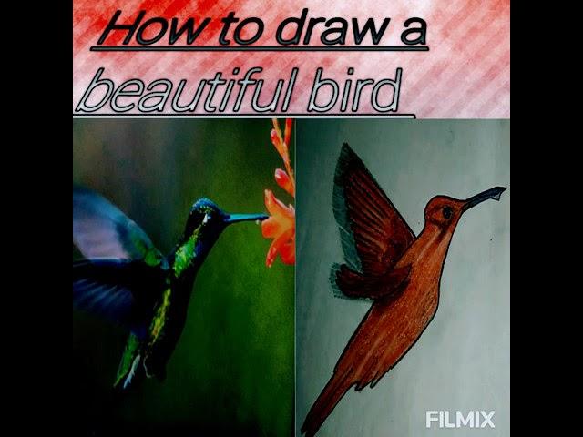 How to draw a lovely bird ll flying pose ll easy colourful art