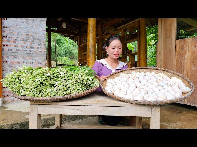 Harvesting Duck Eggs and Chives to Sell at Market - Pet Care, Cooking | Trieu Mai Huong.