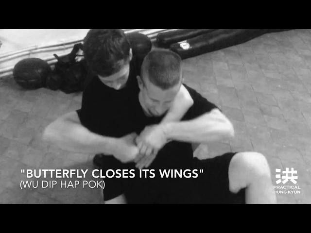 "Butterfly Closes It's  Wings" | Practical Hung Kyun