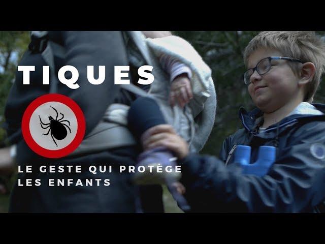 Le geste qui évite 90% des piqûres de tiques