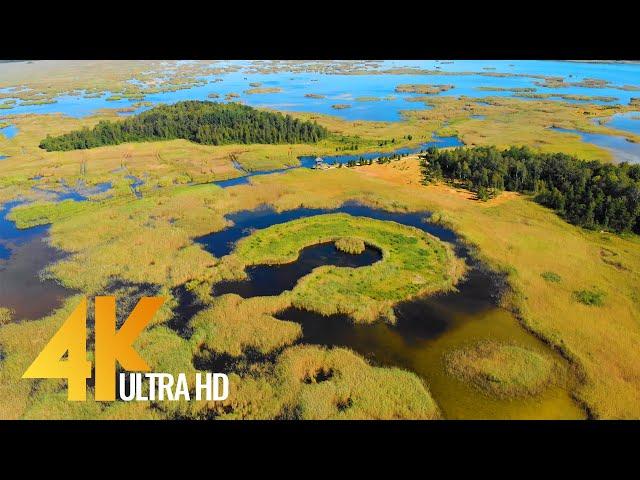 Bird Eye View of Latvian Nature - Airview of Amazing Landscapes in 4K UHD