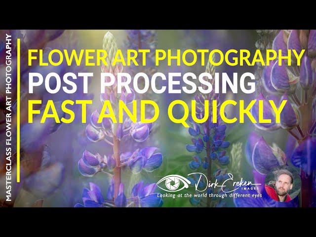 Flower Art Photography Post processing Fast and quickly