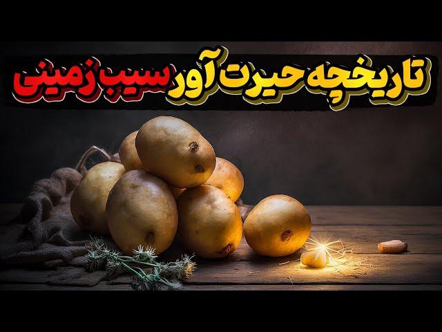 سیب زمینی،  نجات دهنده دنیا و دگرگون ساز زندگی انسانها