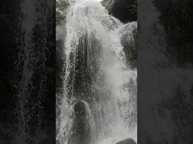 Paglajhora | Kurseong | Fountain | Darjeeling