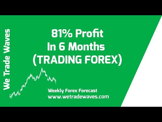 How We Made 81% Profit In 6 Months (TRADING FOREX)