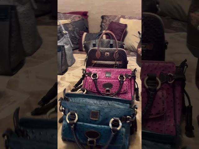 My Dooney & Bourke Ostrich Handbag Collection |2023|