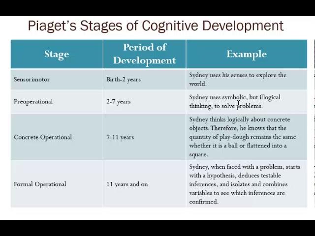 Coopersmith PSY 203 Human Growth and Development Crash Course