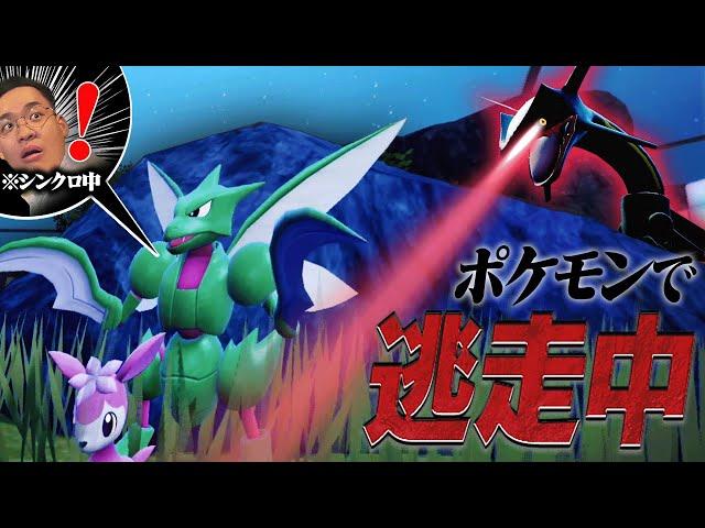 黒レックウザから30分間逃げ切れ。ポケモン廃人版「逃走中」開幕！