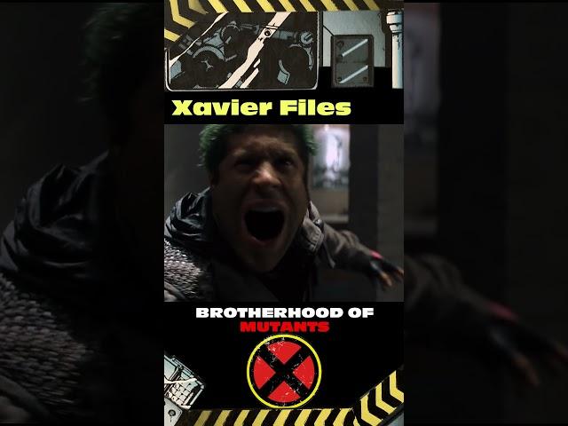 Brotherhood of Mutants BIO (Xavier Files)